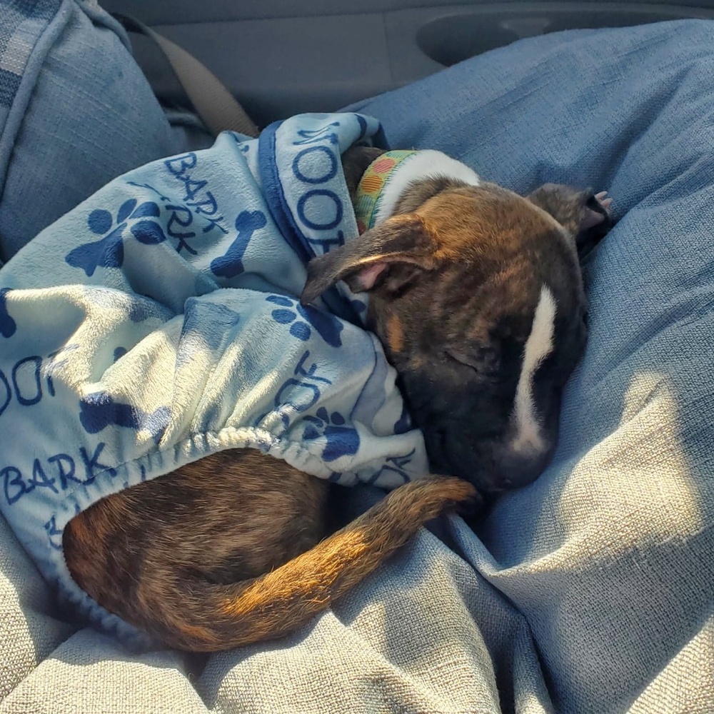 Meet your Posher, Angie